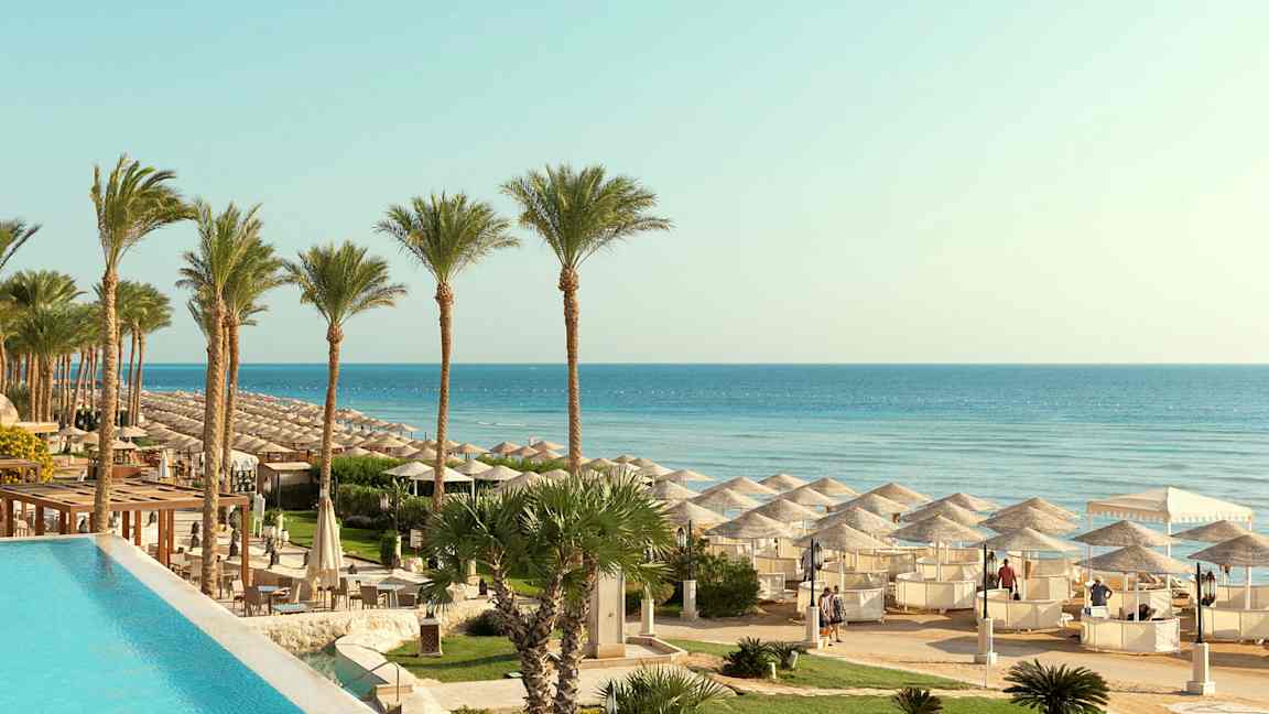 Palmer ved en strand med parasoller og klart blåt vand. (AI-genereret tekst)