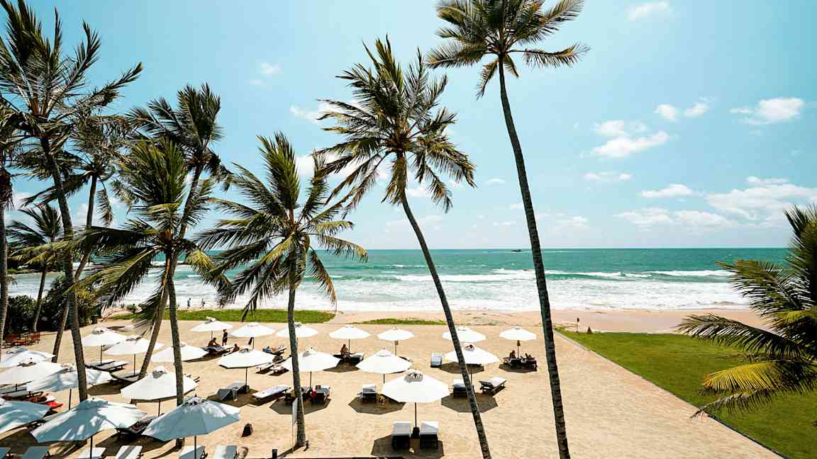 En sandstrand med parasoller, liggestole og palmer foran havet under en klar himmel. (AI-genereret tekst)