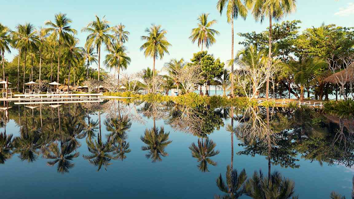 Pool med palmer, der reflekteres i vandet. (AI-genereret tekst)