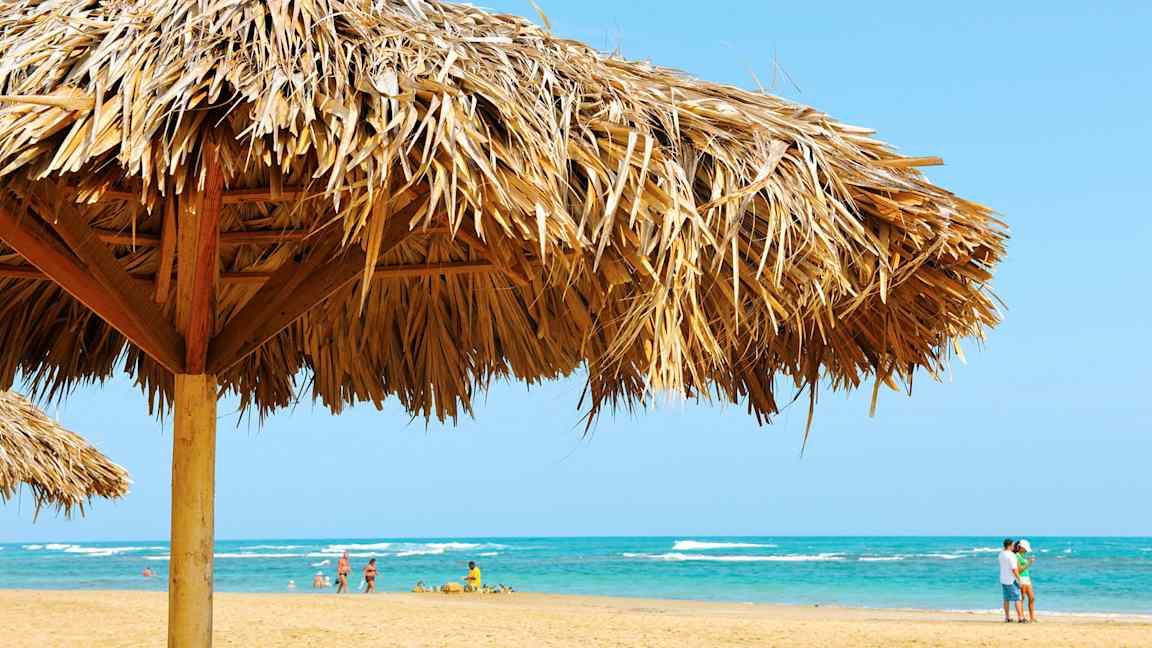 Strand med en parasol af palmeblade i forgrunden og mennesker på stranden ved havet. (AI-genereret tekst)