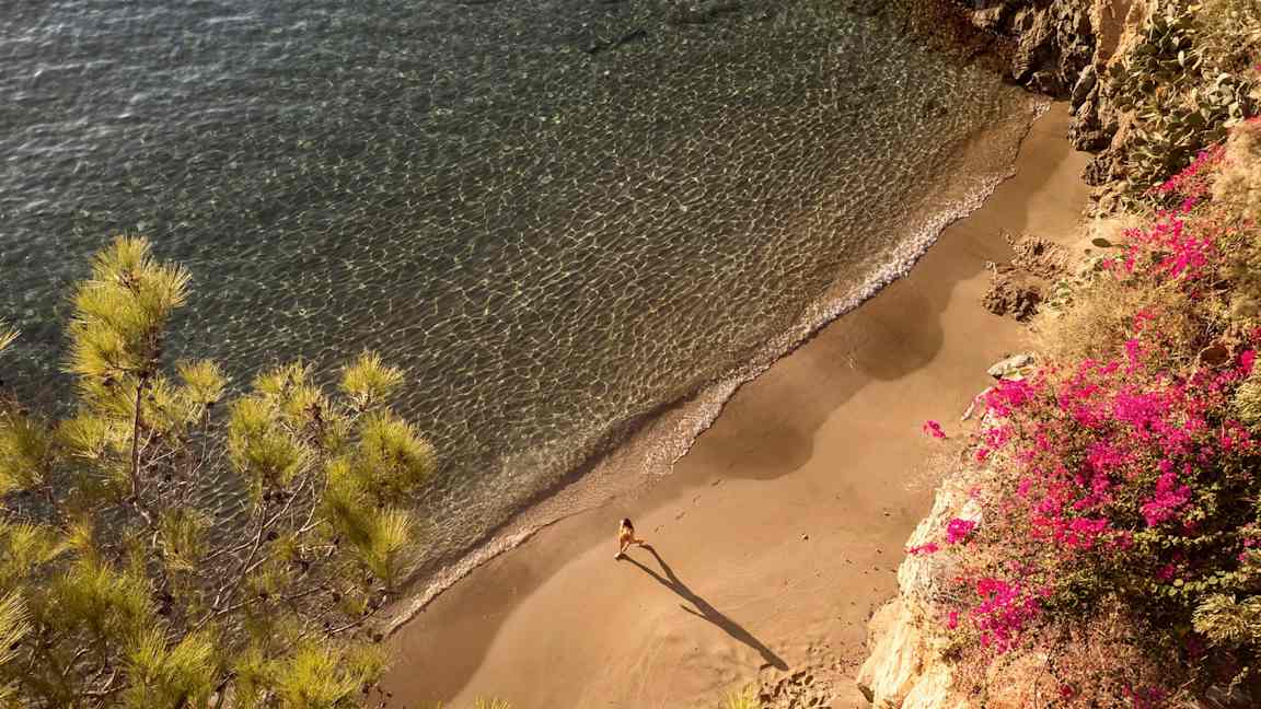 Udsigt over en lille strand med klart vand, sand og en person, der går. Farverige blomster og planter ses langs stranden. (AI-genereret tekst)