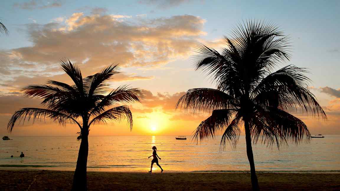 Solnedgang ved en strand med palmer og en person, der går. (AI-genereret tekst)