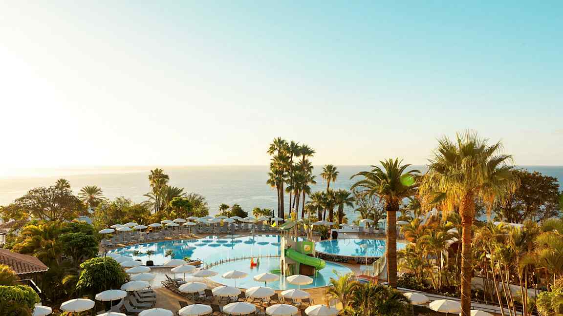 En udendørs pool med solvogne omkranset af palmer og udsigt over havet. (AI-genereret tekst)