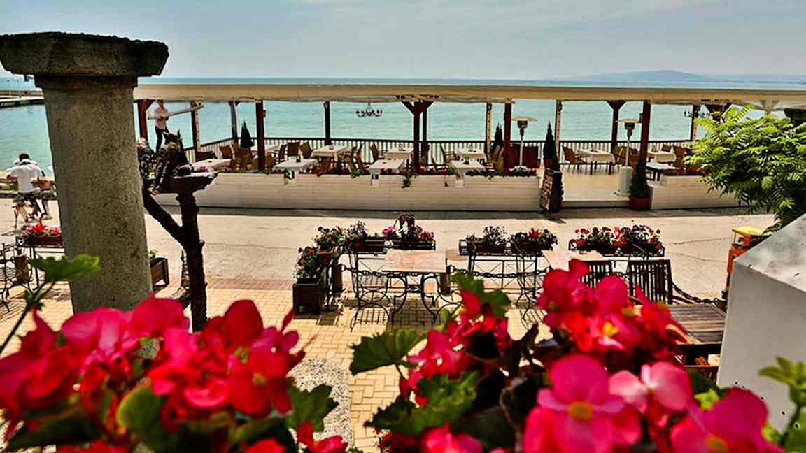 En strandnær terrasse med borde og stole omgivet af blomster og udsigt over havet. (AI-genereret tekst)