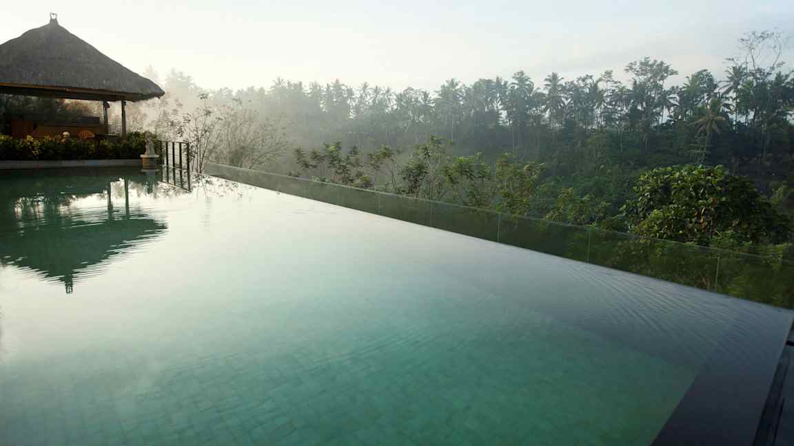 En infinitypool med klart vand og udsigt over frodig tropisk vegetation og palmer. (AI-genereret tekst)