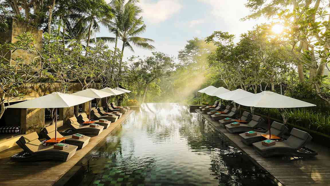 En infinitypool omgivet af liggestole med parasoller og frodigt grønt. (AI-genereret tekst)