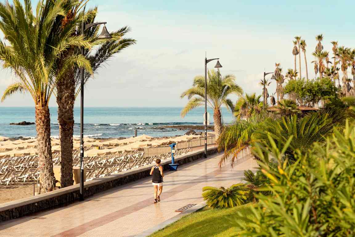 En strandpromenade med palmer og hav i baggrunden. (AI-genereret tekst)