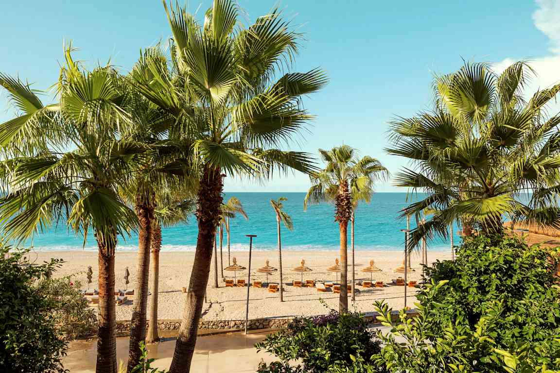 Strand med palmer i forgrunden og havet i baggrunden. (AI-genereret tekst)