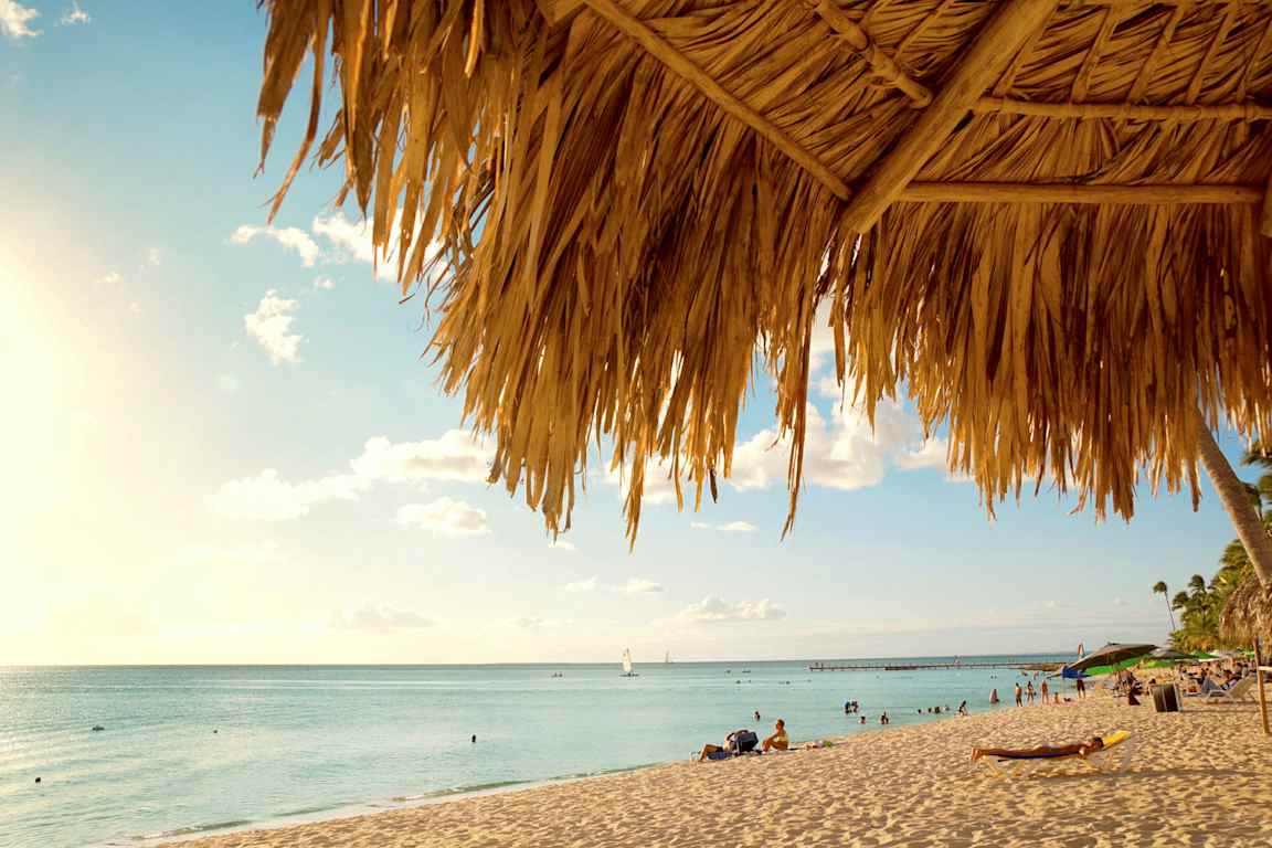 Strand med palmetag i forgrunden, solrig himmel og mennesker ved vandet. (AI-genereret tekst)