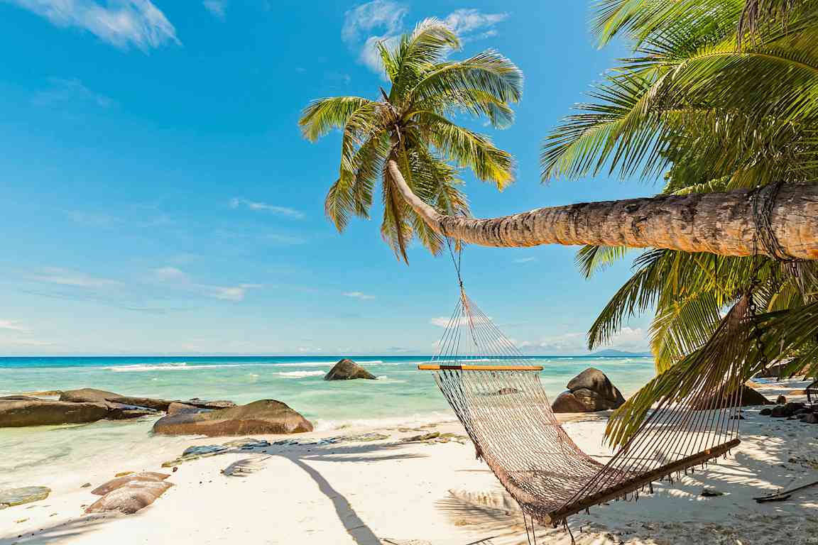 En hængekøje hænger fra en skrånende palme på en sandstrand ved det turkise hav. (AI-genereret tekst)