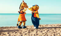 På Sunwing Alcudia Beach kan de yngste gæster deltage i sjove aktiviteter med Lollo & Bernie