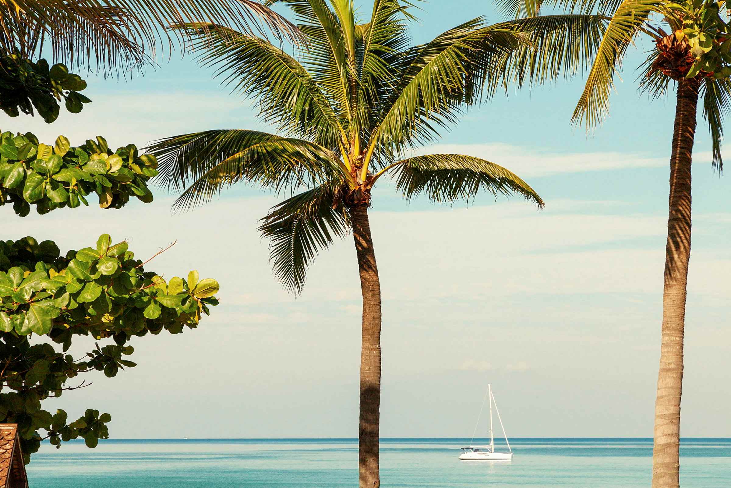 Kamala Beach