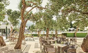 En udendørs servering omgivet af oliventræer og borde med stole. (AI-genereret tekst)