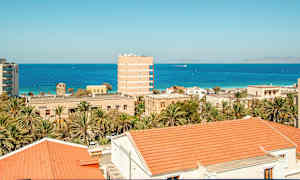 Udsigt over bygninger med røde tage, palmer og en blå havudsigt i baggrunden. (AI-genereret tekst)