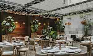 En restaurant med udendørs område, borde dekoreret til måltider omgivet af planter og lyskæder. (AI-genereret tekst)