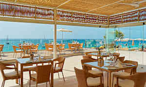 Billede af en restaurant med flettede stole og glasborde, beliggende ved havet med udsigt til en blå vandhorisont. (AI-genereret tekst)