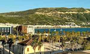 Udsigt over en bypark med palmer, bygninger i forgrunden, en havn med både og grønne bakker i baggrunden. (AI-genereret tekst)