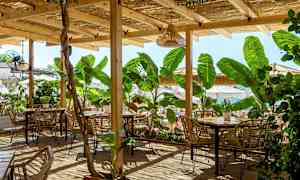 Træterrasse med flettemøbler og planter under tag tæt på stranden. (AI-genereret tekst)