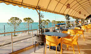 En udendørs servering med gule stole og udsigt over havet og træer. (AI-genereret tekst)