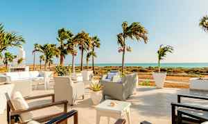 En terrasse med siddepladser, palmer og udsigt over havet. (AI-genereret tekst)