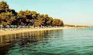 Strand med liggestole og parasoller ved vandkanten, med træer i baggrunden. (AI-genereret tekst)