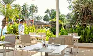 En udendørs servering med borde og stole omgivet af grønne planter og palmer. (AI-genereret tekst)