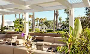 Udendørs lounge med siddeplads i en have omgivet af palmer. (AI-genereret tekst)