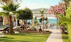 En udendørsrestaurant med udsigt over havet, omgivet af grønne planter og blomstrende træer. (AI-genereret tekst)