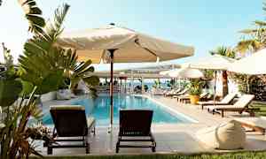 En pool omgivet af solsenge, parasoller og grønne planter. I baggrunden ses havet og en bygning. (AI-genereret tekst)