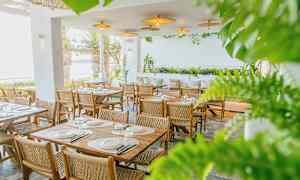 En restaurant med træborde og -stole omgivet af grønne planter og med udsigt over havet. (AI-genereret tekst)