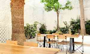 Udendørs bord med træmøbler omgivet af grønne planter og hvide vægge. (AI-genereret tekst)