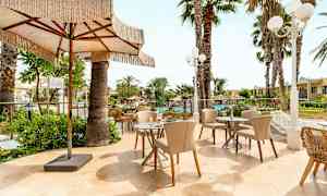 En udendørsterrasse med borde og stole omgivet af palmer og grønne planter. En stor parasol giver skygge. (AI-genereret tekst)