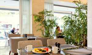 En café med borde dækket med en tallerken indeholdende frugt, kopper og krydderbeholdere, omgivet af grøn vegetation. (AI-genereret tekst)