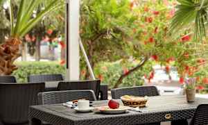 Et udendørs bord med morgenmad og en blomsterpotte i et grønt miljø. (AI-genereret tekst)