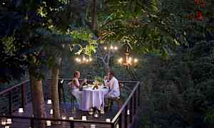 En romantisk middag serveres på en træterrasse omgivet af frodig vegetation, med levende lys og lysekroner som belysning. (AI-genereret tekst)