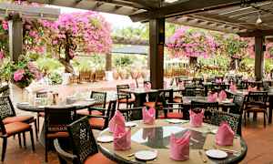 En udendørs restaurant med borde og stole under en pergola dekoreret med lyserøde blomster. (AI-genereret tekst)