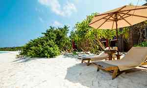 Liggestole på en sandstrand med parasol og planter. (AI-genereret tekst)