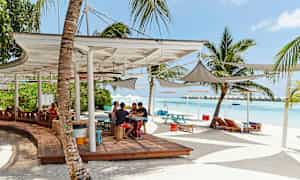 Strand med siddepladser, parasoller og palmer. (AI-genereret tekst)