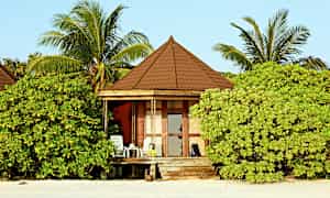 En strandnær hytte omgivet af frodig vegetation med palmer. (AI-genereret tekst)