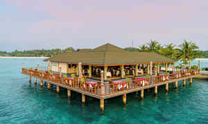 En restaurant bygget på stolper over klart vand, omgivet af palmer og en strand i baggrunden. (AI-genereret tekst)