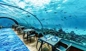 Undervandsmiljø med en restaurant, hvor borde og stole er opstillet foran et stort, buet vindue med udsigt til havet og fisk. (AI-genereret tekst)