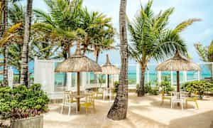 Et strandmiljø med palmer, stråtagparaplyer og borde med stole. (AI-genereret tekst)