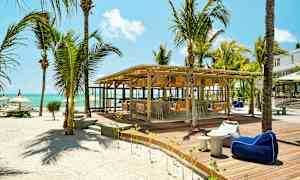 En strandbar med palmer og siddepladser på en træplatform. (AI-genereret tekst)