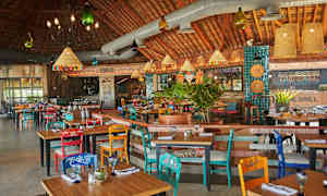 Interiøret i en restaurant med farverige stole og borde, hængende lamper og plantepynt. (AI-genereret tekst)