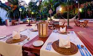 Lyst op udendørs serveringsområde med dækkede borde og palmer i baggrunden. (AI-genereret tekst)