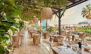 Billede af en smukt indrettet udendørsrestaurant med træborde og rottingstole, omgivet af grønt og palmer. (AI-genereret tekst)