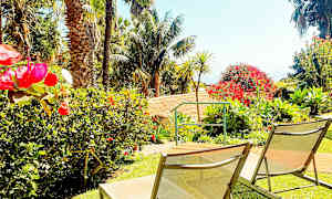 Solstole på en græsplæne omgivet af farverige blomster og palmer. (AI-genereret tekst)