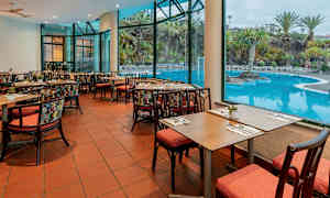 Indendørs restaurant med udsigt til en pool og omkringliggende palmer gennem store vinduer. (AI-genereret tekst)