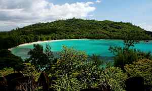 En frodig kystlinje ved et turkisblåt hav. (AI-genereret tekst)