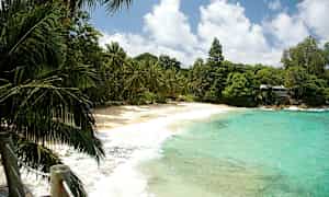 En sandstrand med turkis vand og grønne palmer. (AI-genereret tekst)